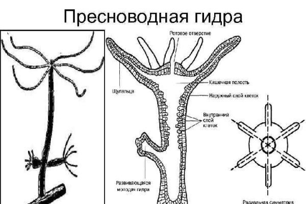 Кракен ссылка на рабочее зеркало
