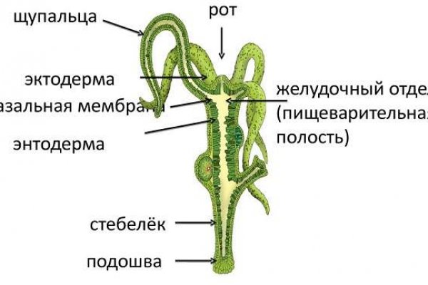 Кракен через впн