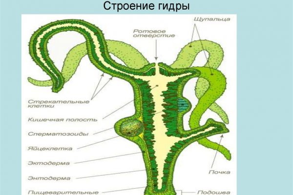 Кракен даркнет актуальная ссылка