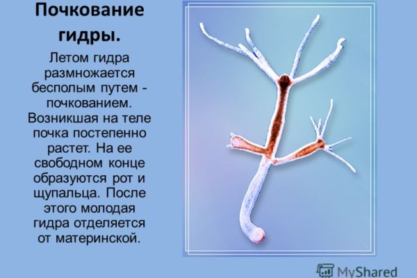 Ссылки мега кракен