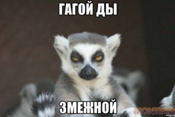 Кракен сайт ссылка онлайн
