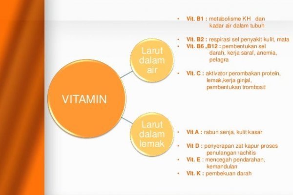 Kra47.at