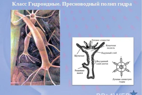 Кракен даркнет что известно