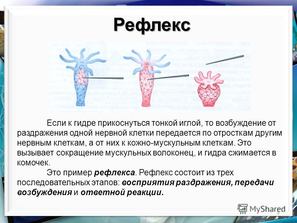 Войти в кракен